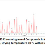 Figure 1: GC-MS Chromatogram of Compounds in Aloe Vera Peel Powder, Drying Temperature 60 oC within 6 Hours.